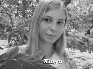 Xinyu