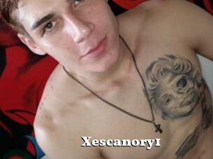 Xescanory1