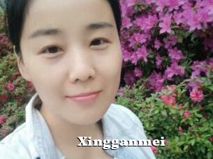 Xingganmei