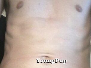 YoungPup