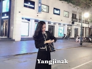 Yangjin2k