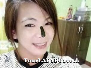 YourLADYBOYcock