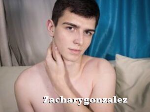 Zacharygonzalez